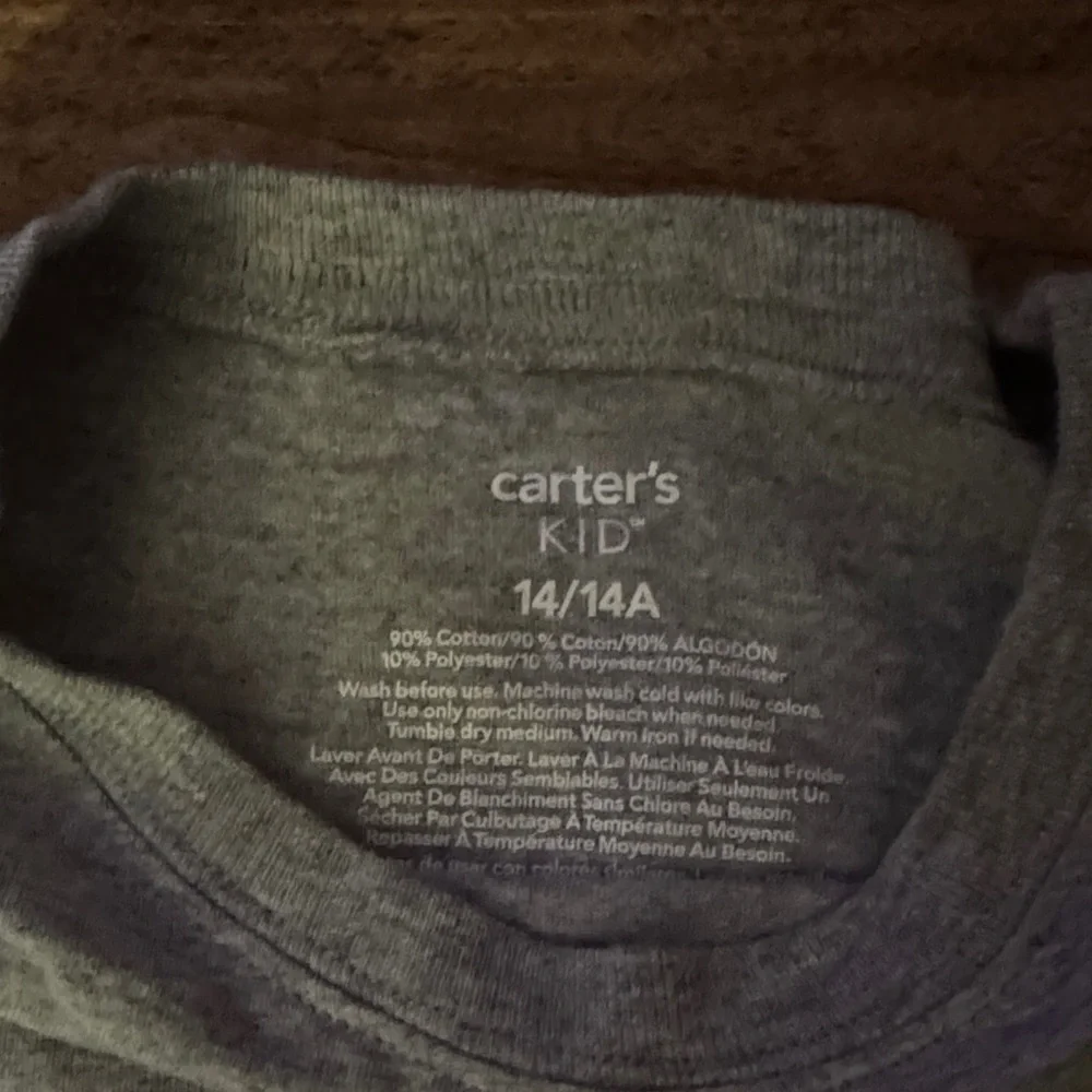 Carter's Gray T-Shirt with Dinosaur Design